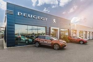 Autohaus Fritz GmbH & Co KG